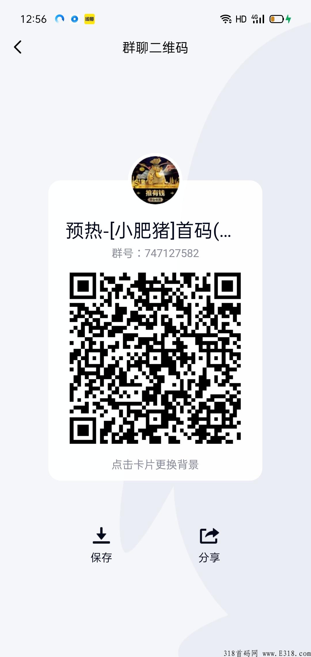 首码噜噜小肥猪，教你赚米