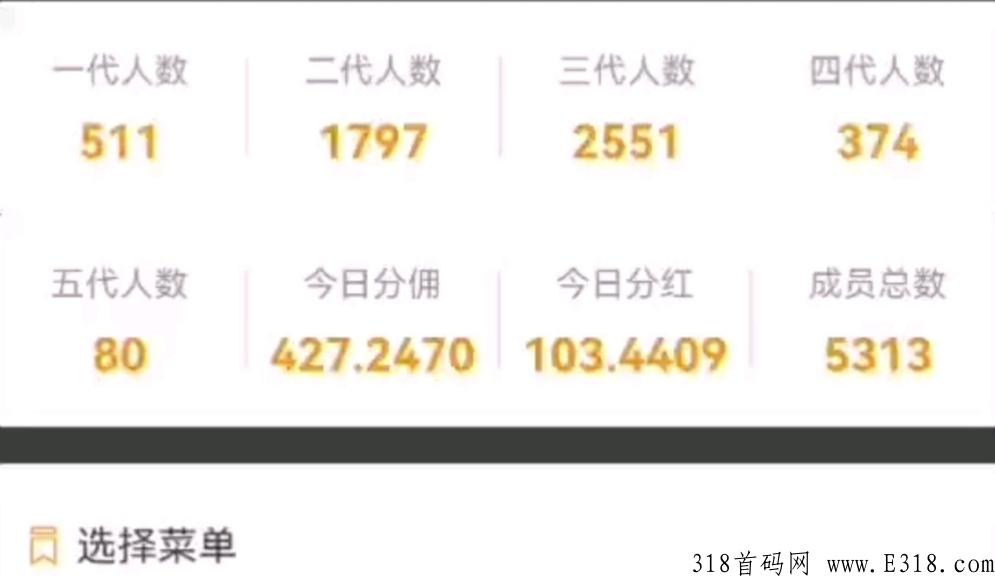 至尊视界影视分享平台单价最高，无投资，它的收益如何，稳定不稳定呢