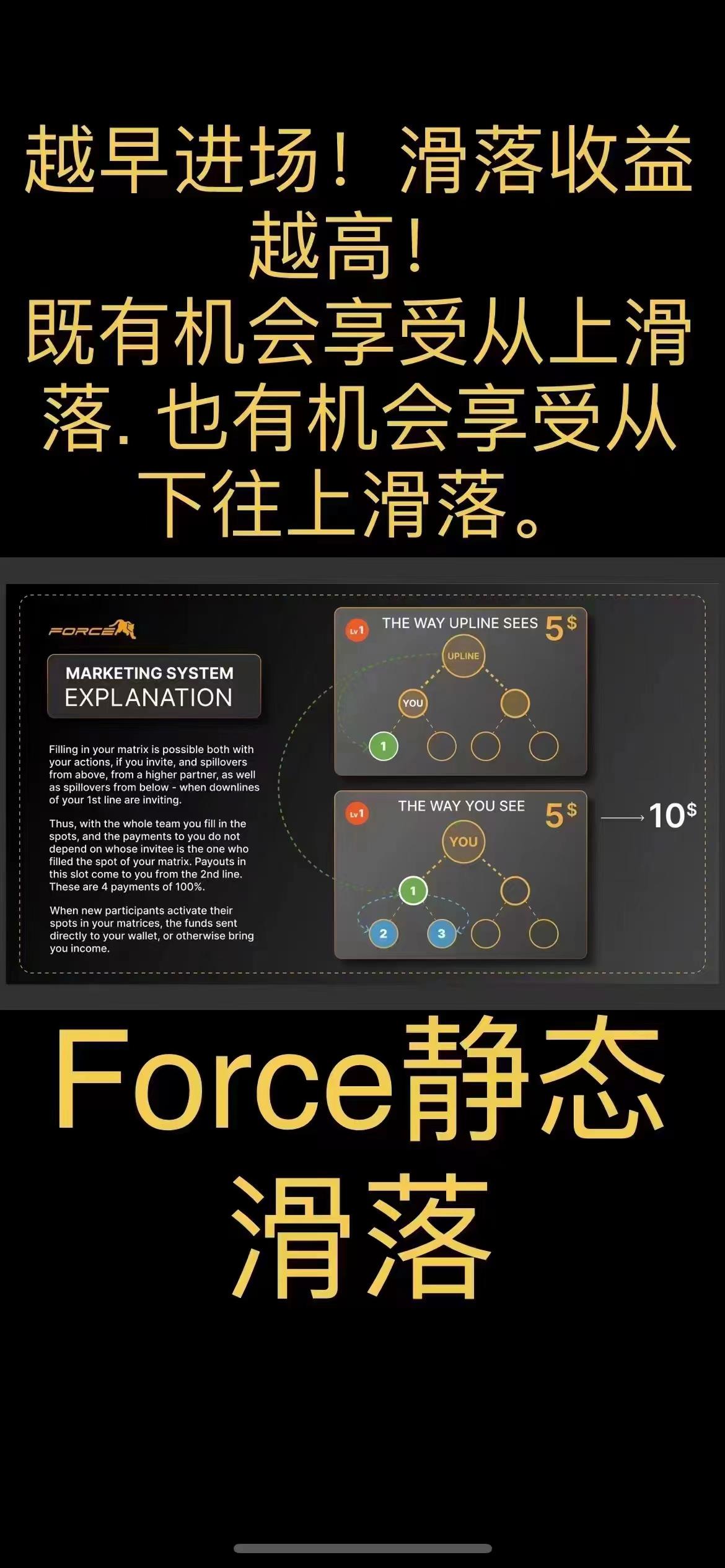 佛萨奇2.0原力元宇宙，直接疯狂赚米，动态之王