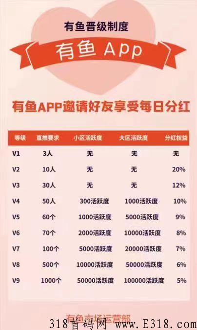 有鱼首码新模式，上车带你吃肉