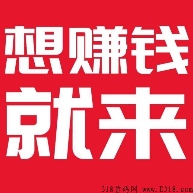 省淘聚合电商（副业）你我最佳的选择，购物达人越用越赚越兴奋，成就你我