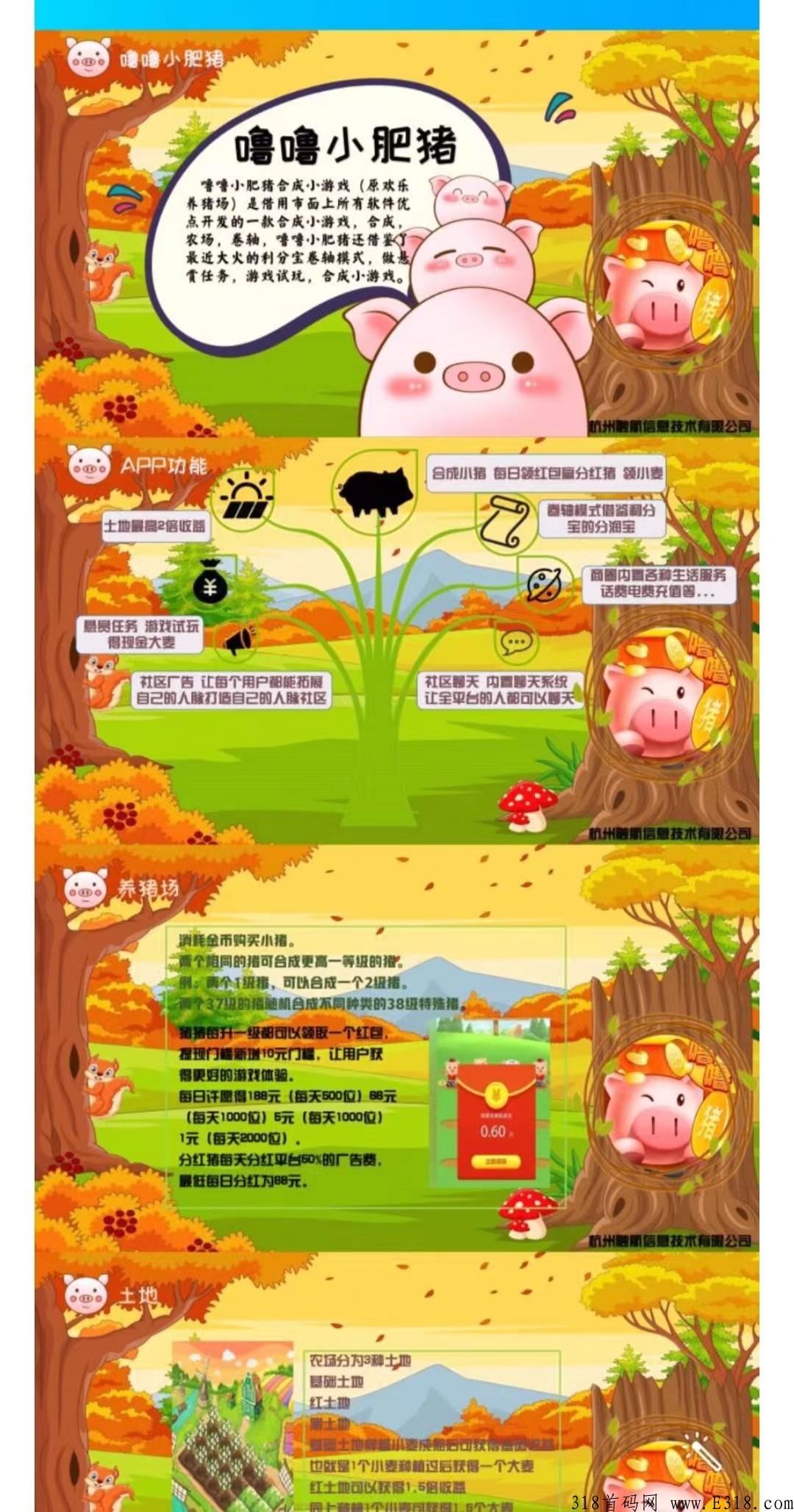 噜噜小肥猪：做项目，如何做真正第一批吃肉的人？在APP还没上线前你就进场了