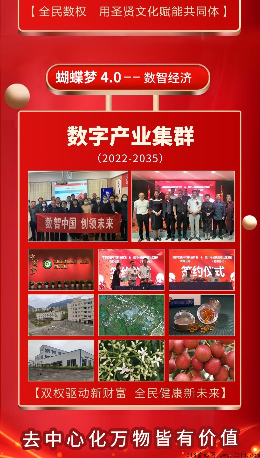 最强首码，本月变现，双权驱动，药投药熵