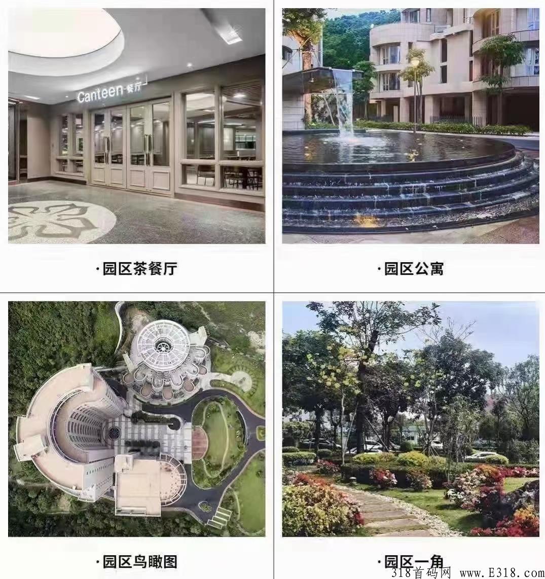 深圳本月大项目，即将开启内测，公司2万平方，一栋楼，互助竞拍项目，第一个月扶持日收益3个点