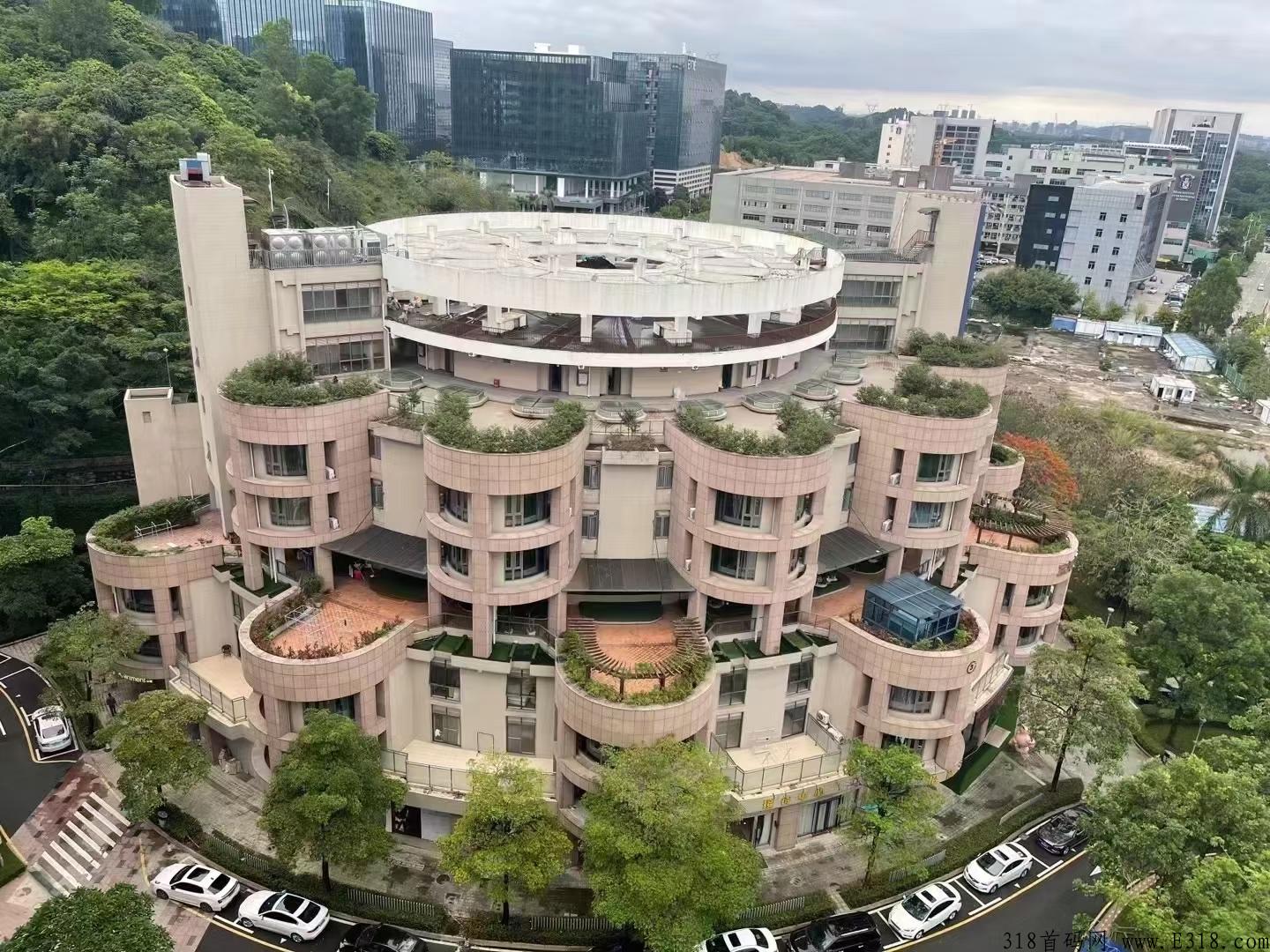 深圳本月大项目，即将开启内测，公司2万平方，一栋楼，互助竞拍项目，第一个月扶持日收益3个点