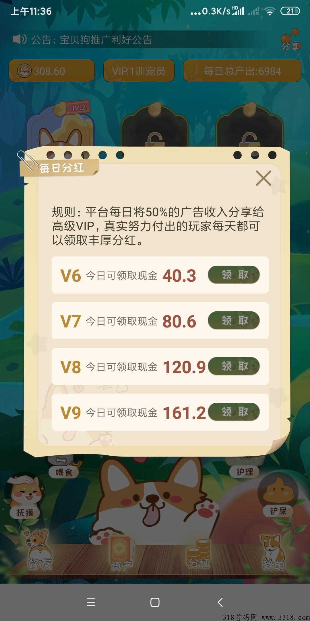 宝贝狗领奖励