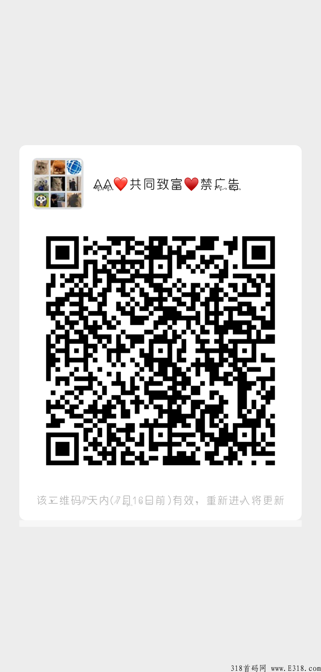 今日首码众乐汇内测上线，全程赚米，落地项目，无广告简单认证无费用