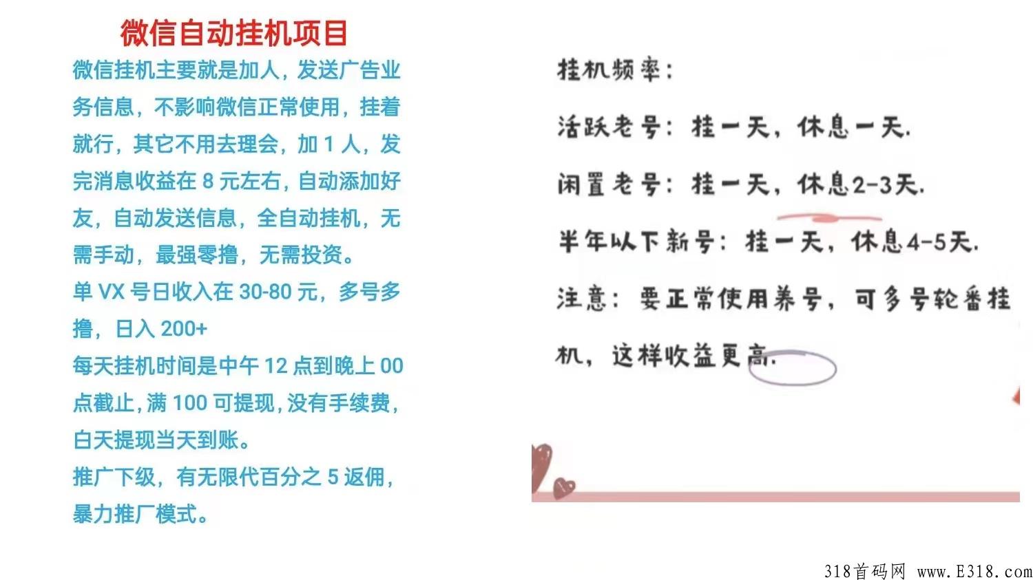 首码项目，稳定长期可做