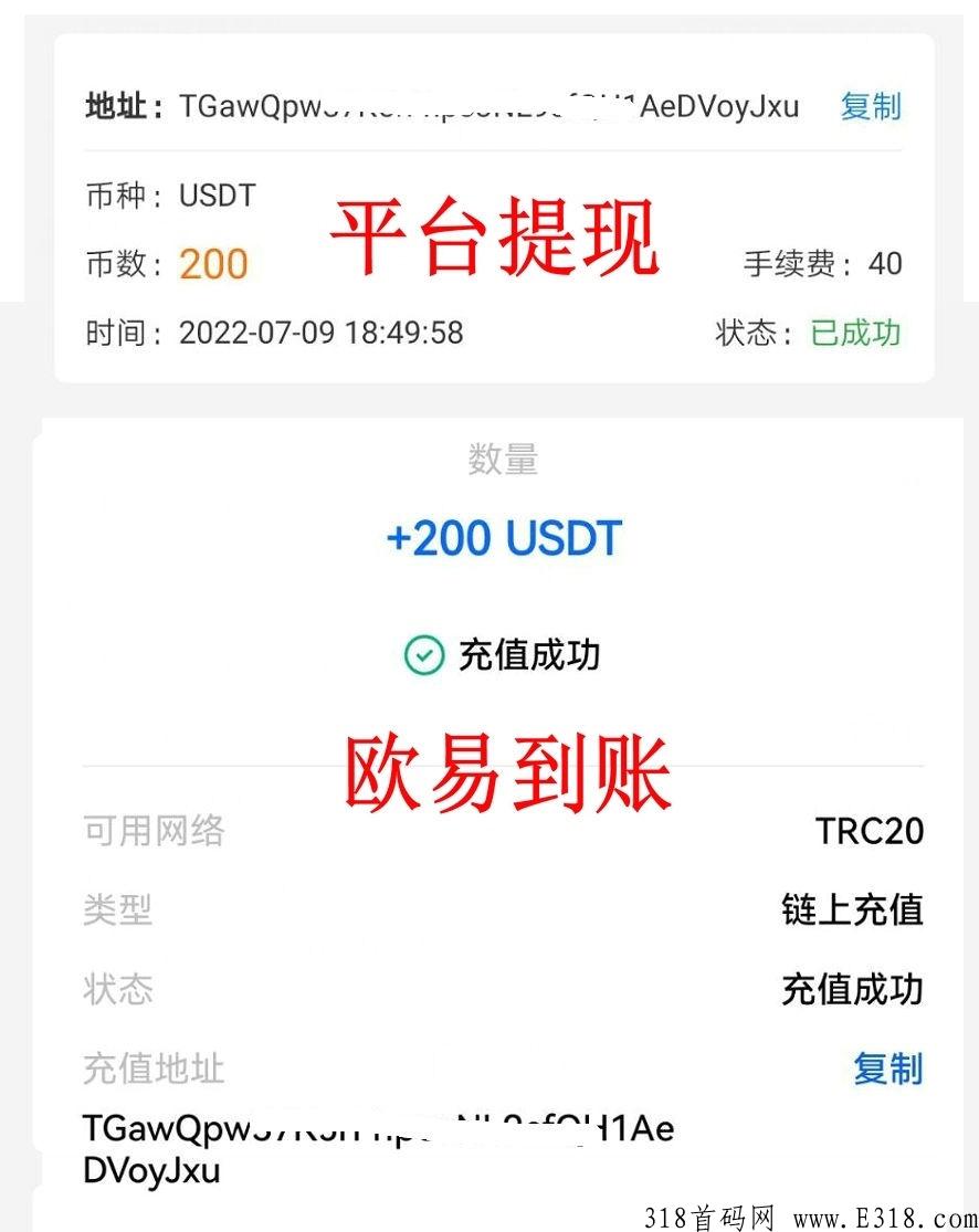 【MetaDEX现货网格】稳定薅羊毛U，今年最火热的玩法！