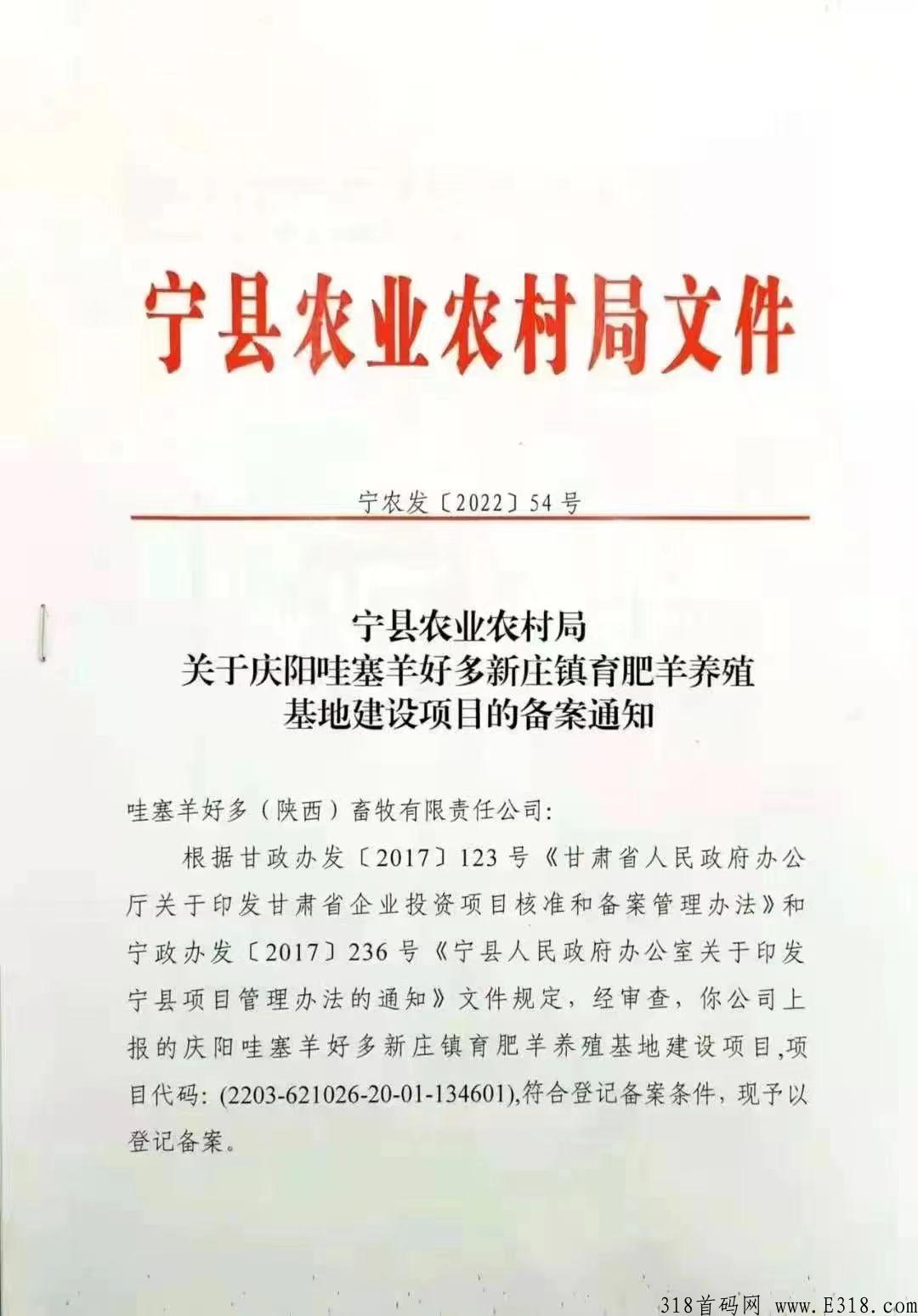 哇塞羊好多，2022超级黑马卷抽模式本月底上线，大区兜底2星