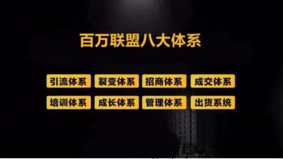 荣格新项目，百万联盟团队如何引流运营变现？