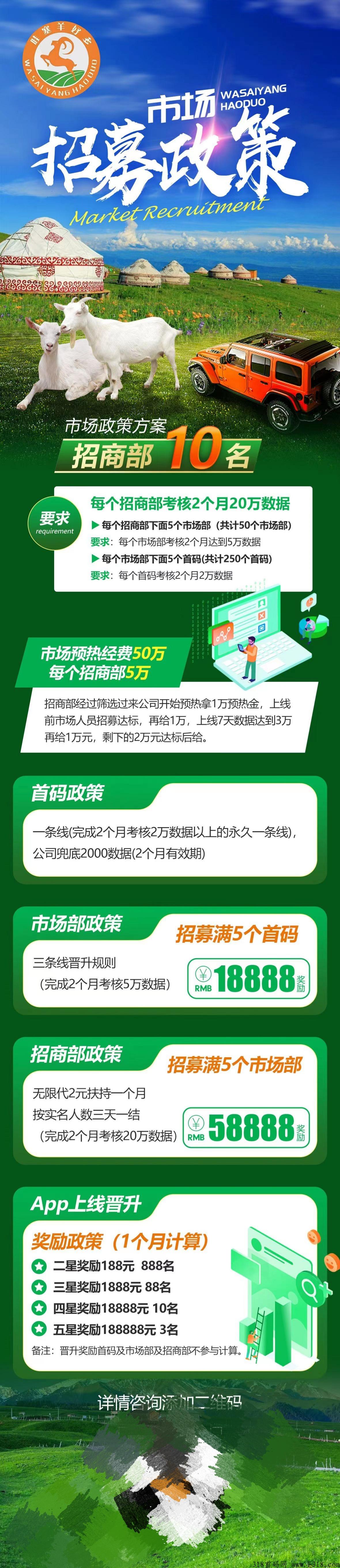 首码，羊好多，招募首码