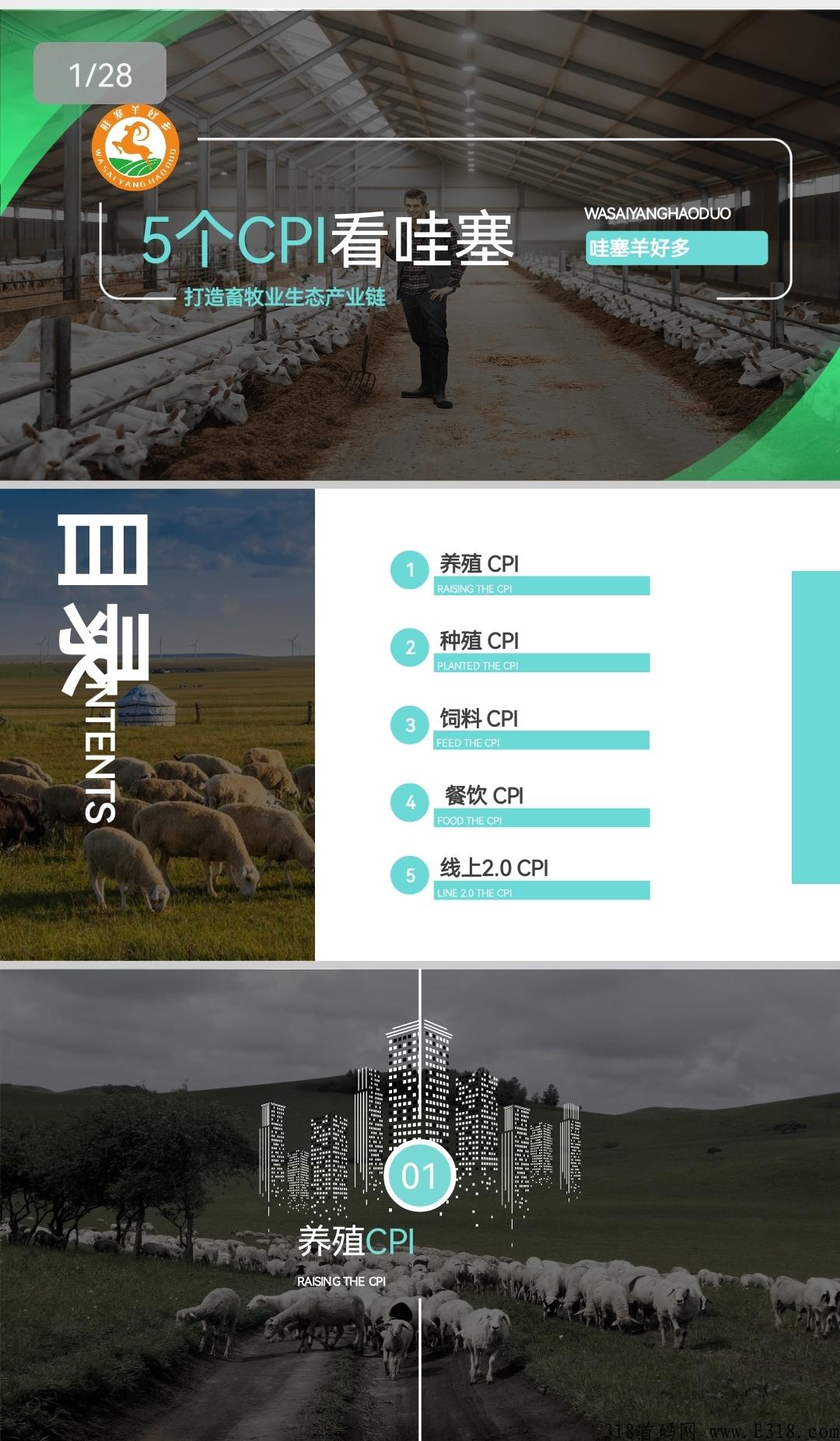 【哇塞，羊好多】招募市场部首码
