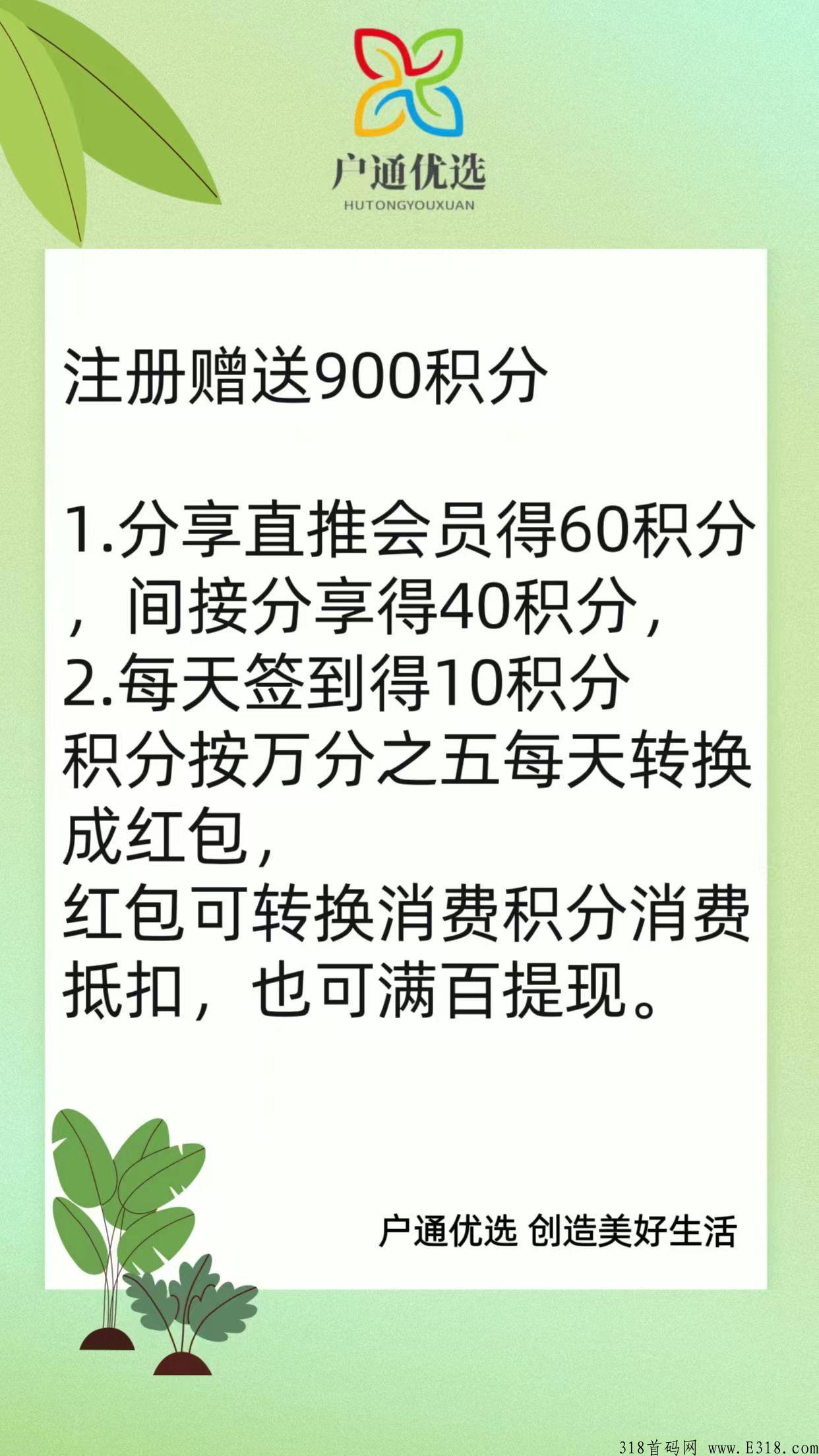 首码户通优选，君凤凰模式