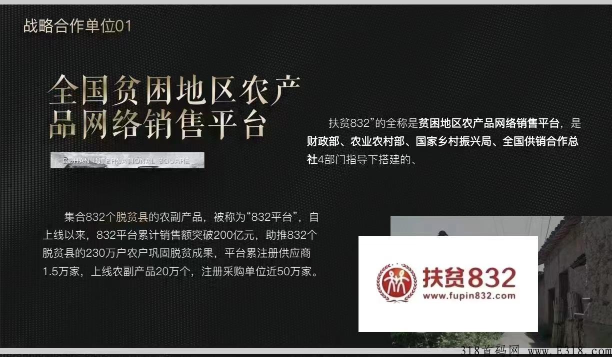 星逸购，首码今天上线，官方总对接，常驻公司，扶持高