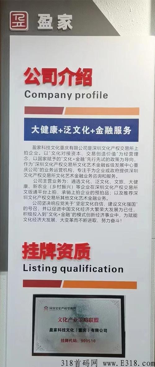 美家盈，全新模式，实体公司，高扶持对接团队长