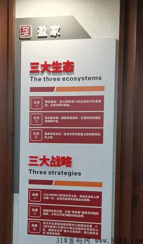 美家盈，全新模式，实体公司，高扶持对接团队长