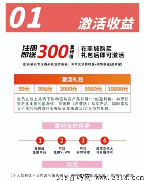 美家盈，全新模式，实体公司，高扶持对接团队长