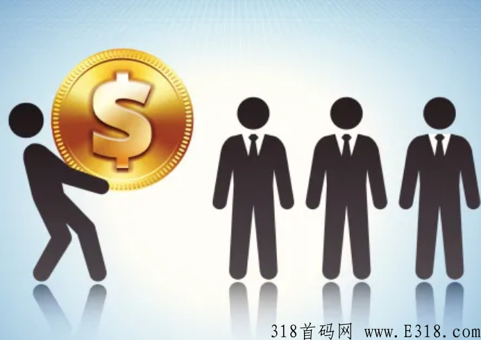 泰山众筹项目，系统开发模式以及经济模型