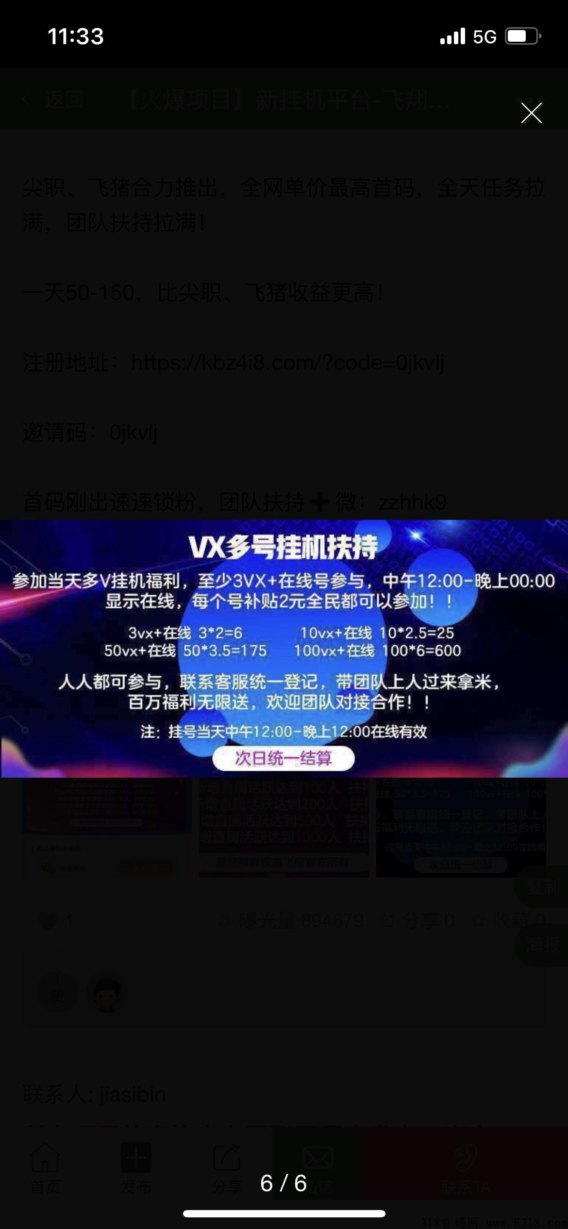 飞翔首码项目，轻松赚米