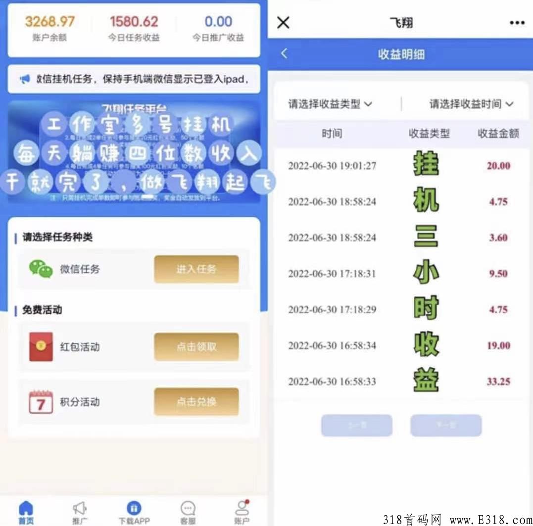 飞翔首码项目，轻松赚米
