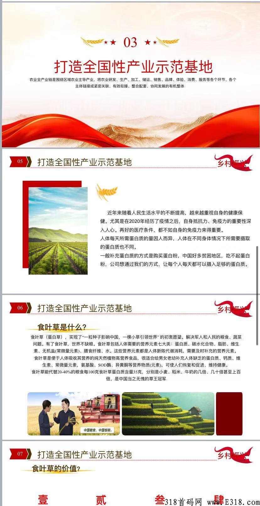 辰农农场