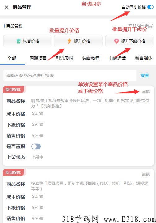 你可以没有钱，但要有赚米的能力，2022开个虚拟资源站，到底能赚多少