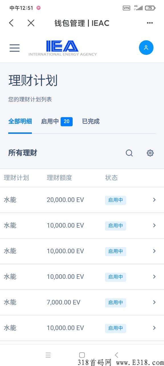 2022年黑马国际能源署，国际项目，对接各大团队长，扶持最高