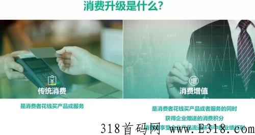 北方大陆众微云商首码对接