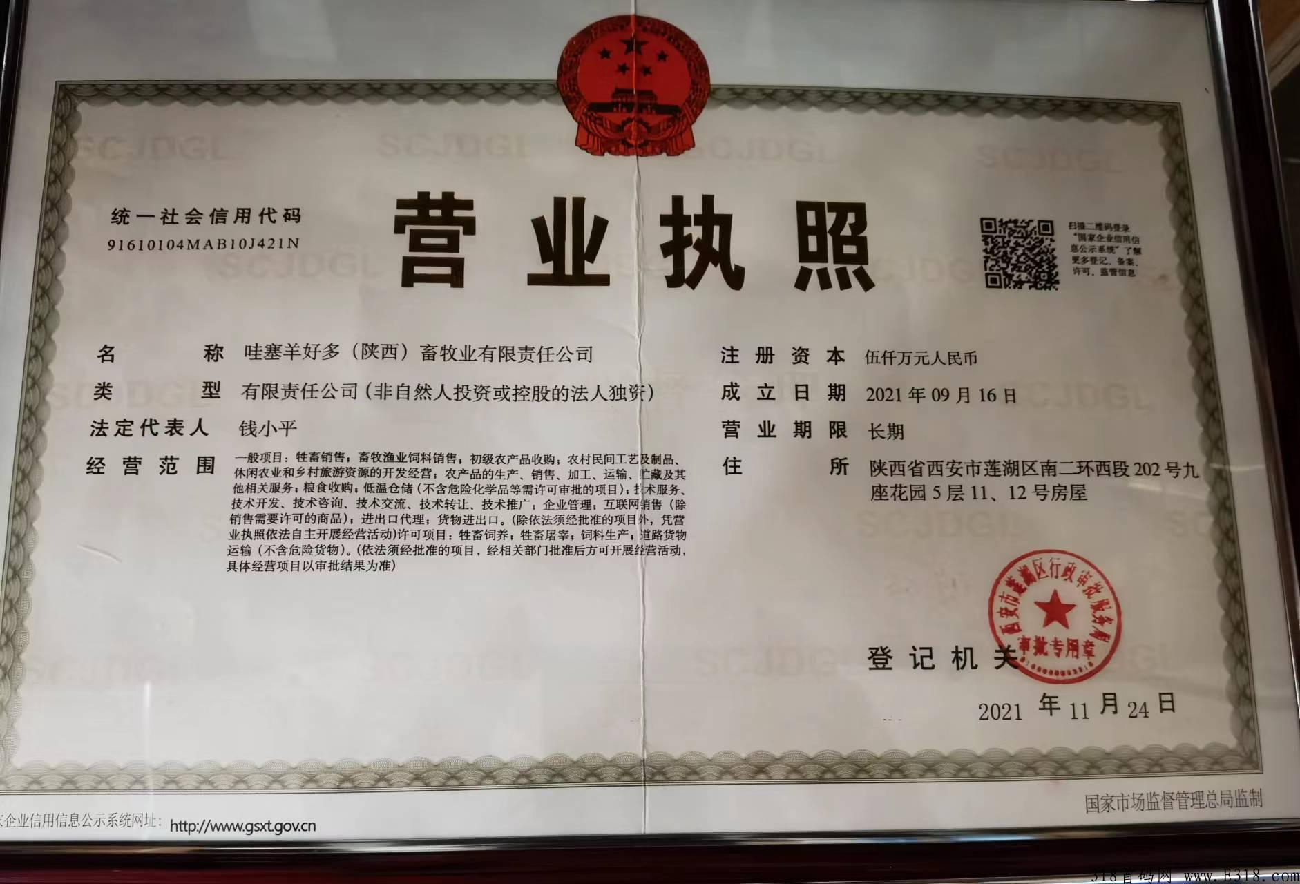 本月底王炸券轴项目，哇塞羊好多，实体公司，对接首批团队长