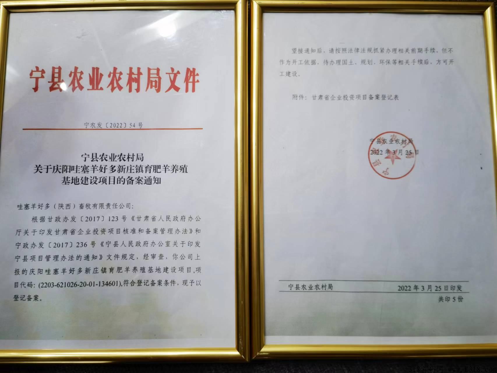 本月底王炸券轴项目，哇塞羊好多，实体公司，对接首批团队长