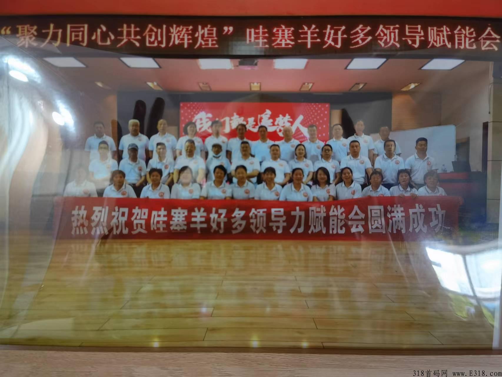 本月底王炸券轴项目，哇塞羊好多，实体公司，对接首批团队长