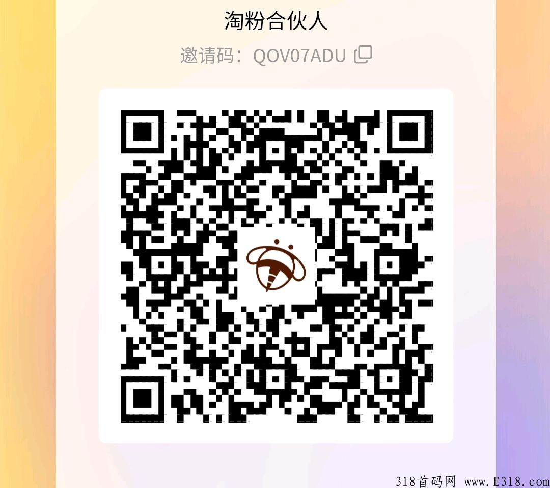 淘金导航，最火爆首码项目