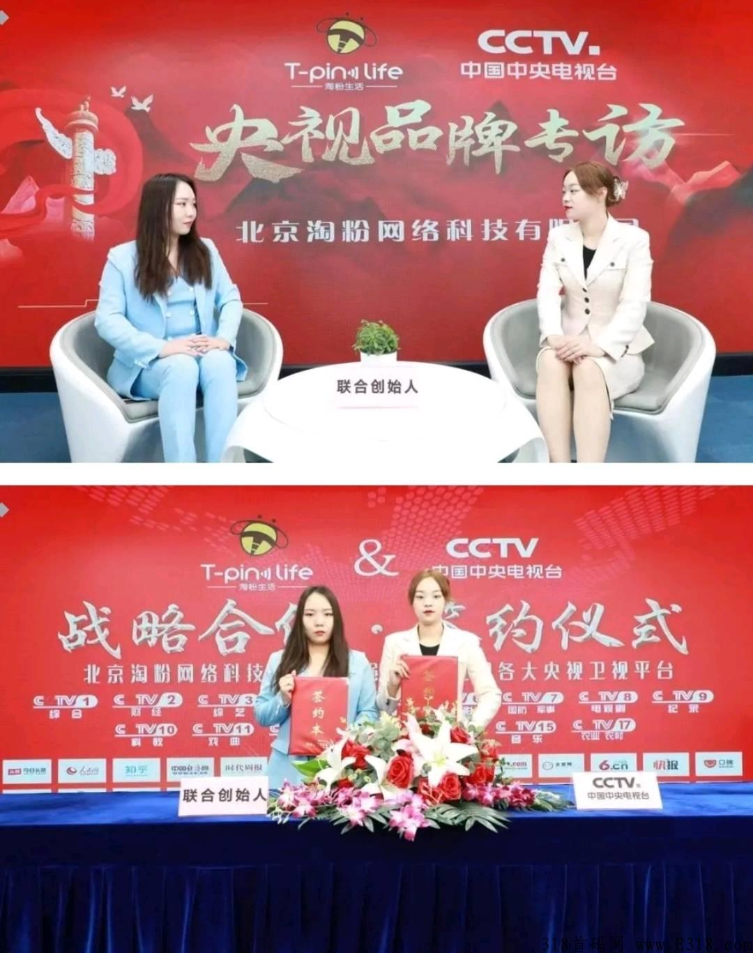 淘金导航，最火爆首码项目