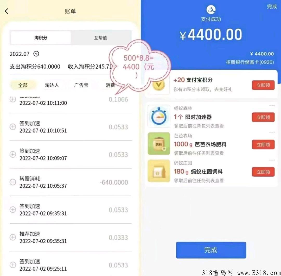 淘金导航，最火爆首码项目