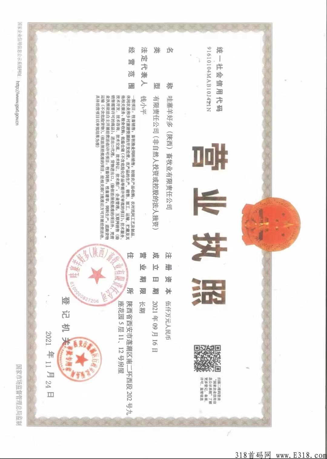 哇塞羊好多万人排线全网招募首码，超高待遇，长期跟团的来
