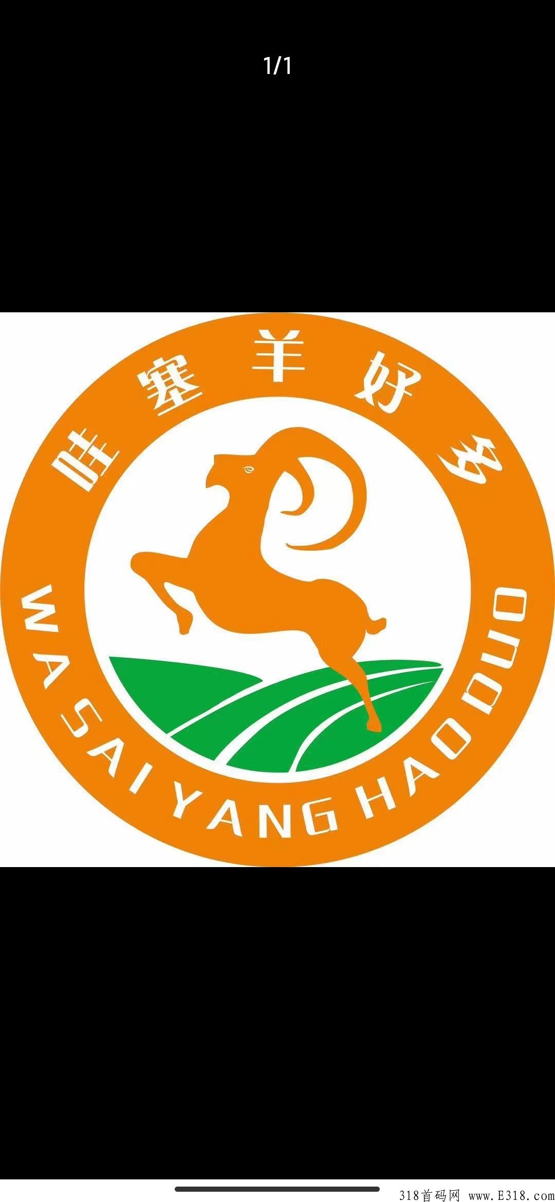 哇塞羊好多万人排线全网招募首码，超高待遇，长期跟团的来