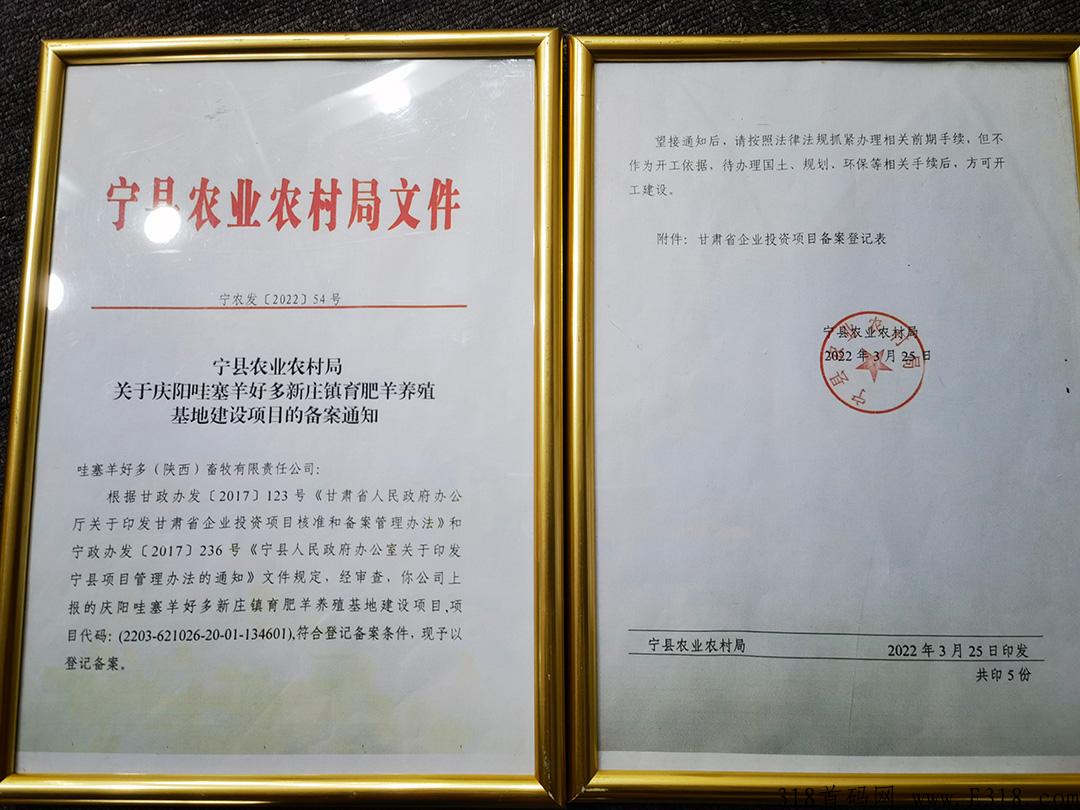 哇塞羊好多万人排线预热，趣步，蚁丛模式，唯一先有实体产业的零创平台
