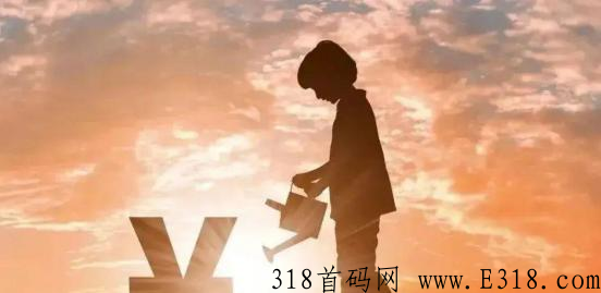 闪电宝plus，三分钟了解支付圈，副业如此简单！