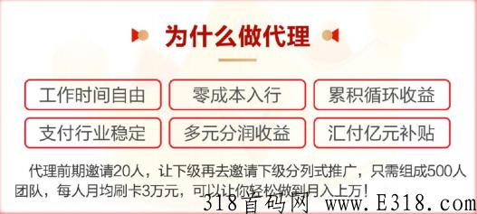 闪电宝plus，三分钟了解支付圈，副业如此简单！