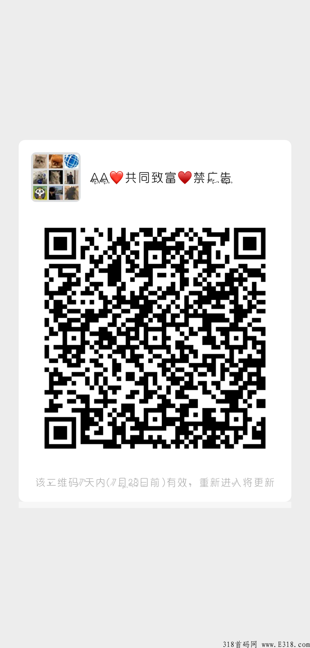 小鸡联盟首码，利分宝模式