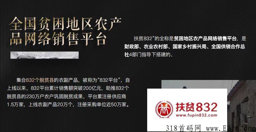 首码项目，星逸购