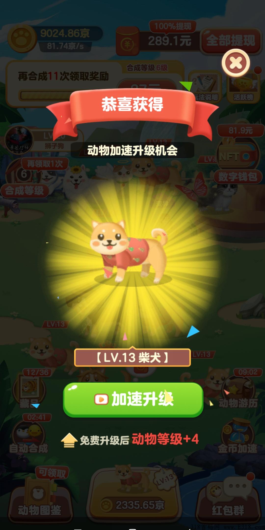 猪猪世界首码，秒提现，赶紧上车