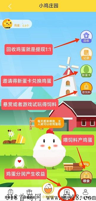 小鸡联盟：分润宝+养鸡模式，每日分润官方托底