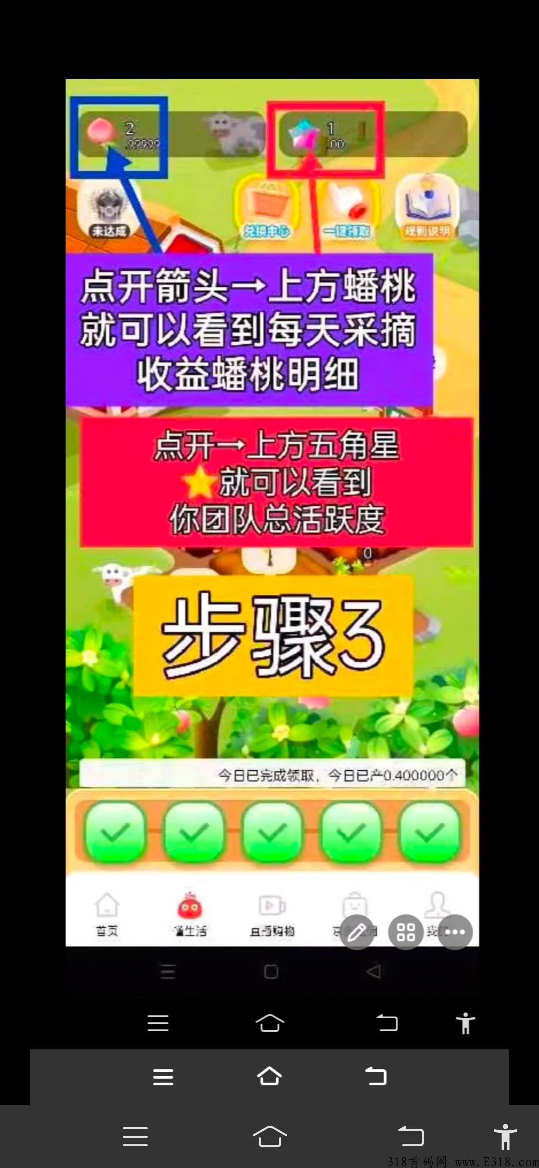 秋桔商城首码新卷轴