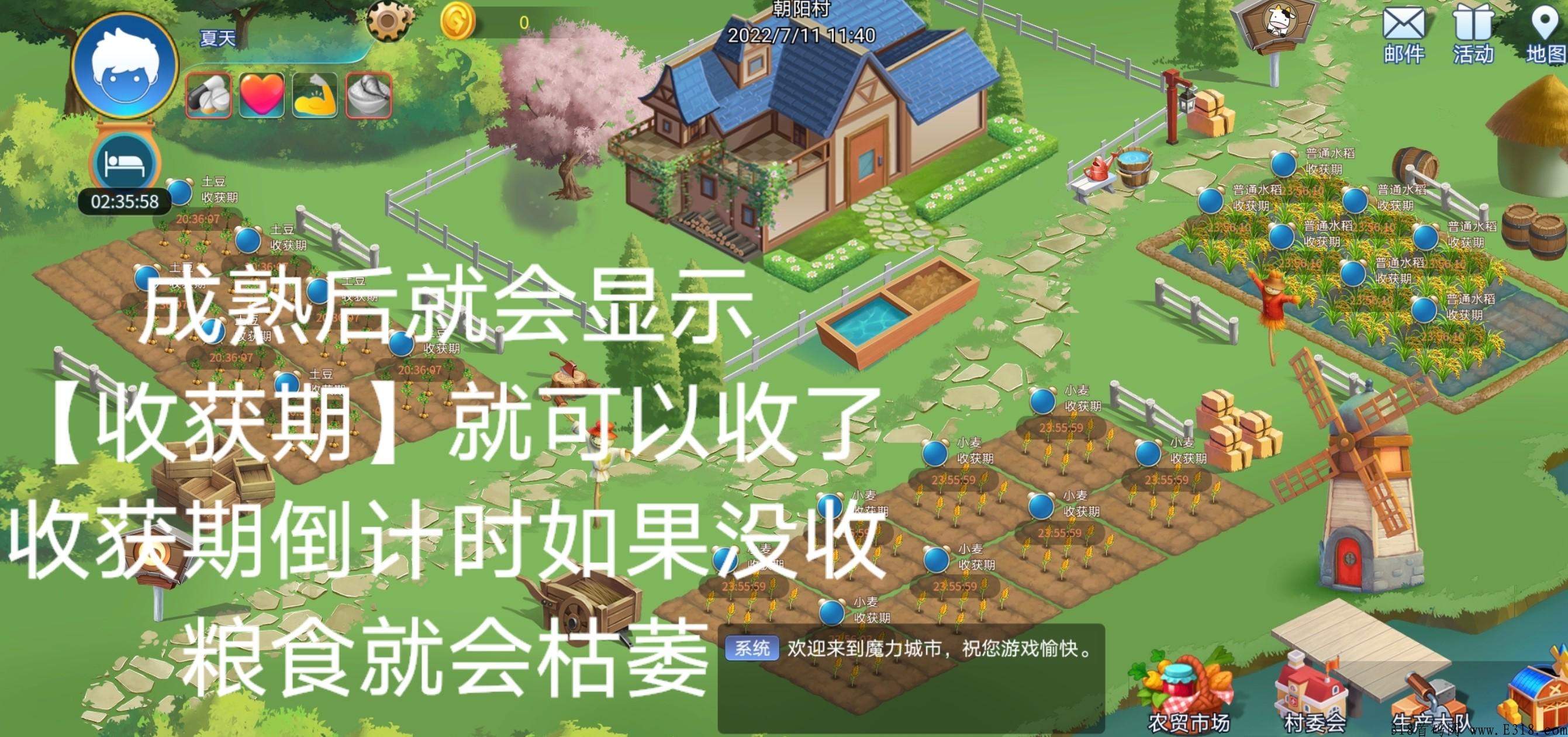 元宇宙魔力城市，下半年最强的首码项目，火爆全网