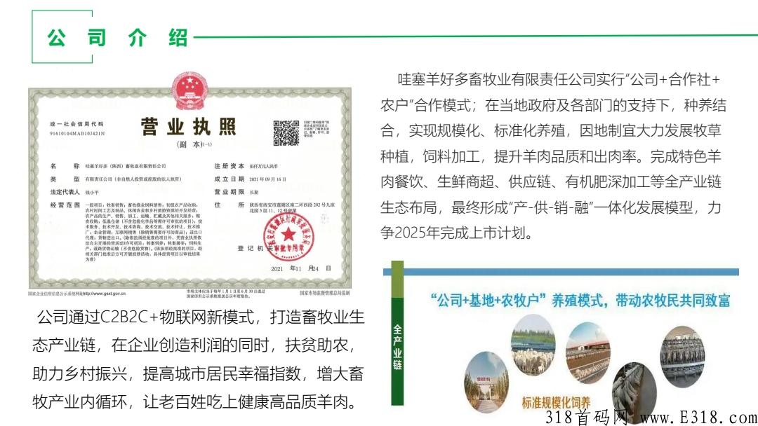 哇塞羊好多，卷轴模式，下月初正式上线，兜底2星