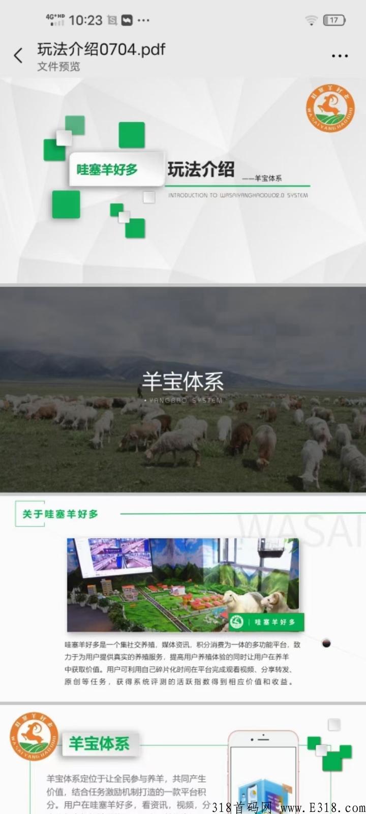 哇塞羊好多首码项目万人排线，一个有63亩项目用地支撑的零创平台