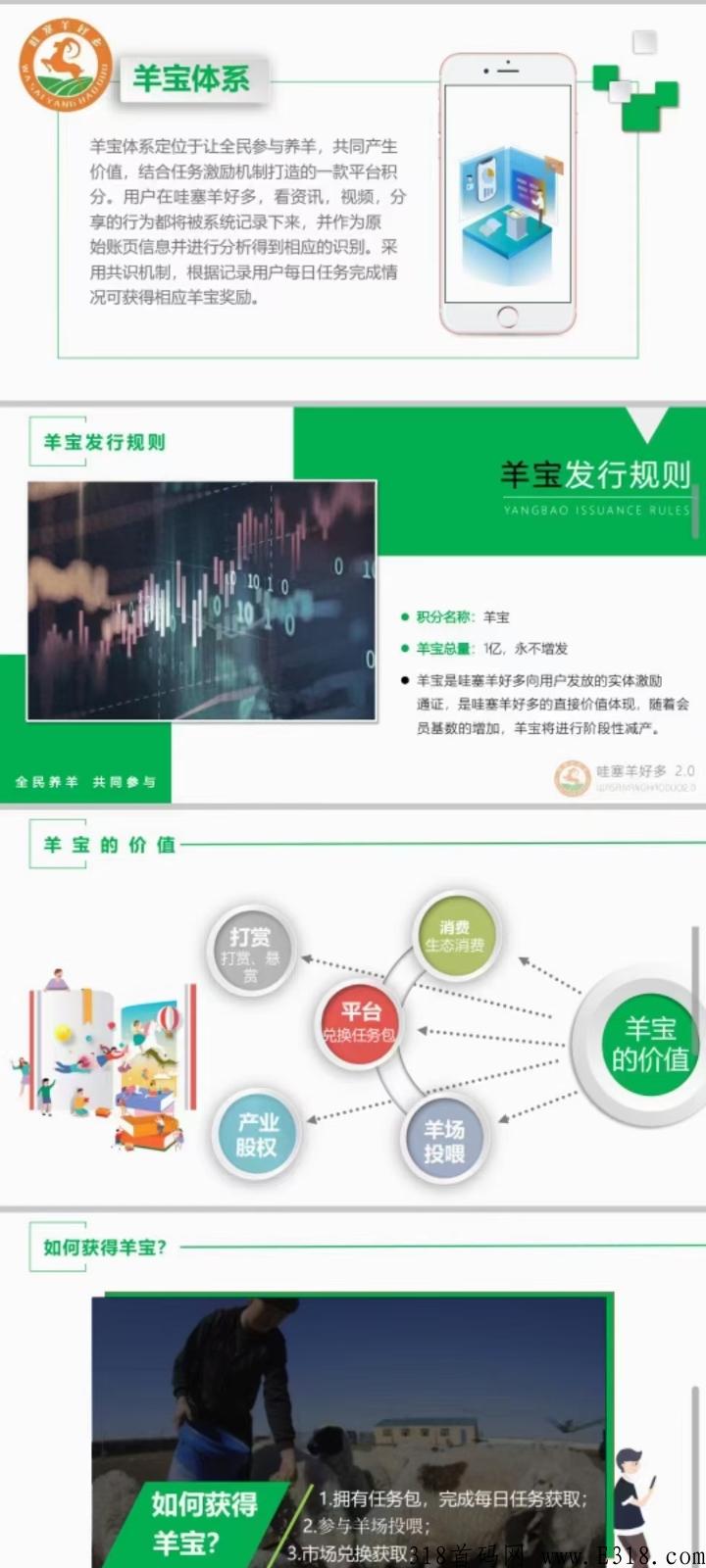 哇塞羊好多首码项目万人排线，一个有63亩项目用地支撑的零创平台