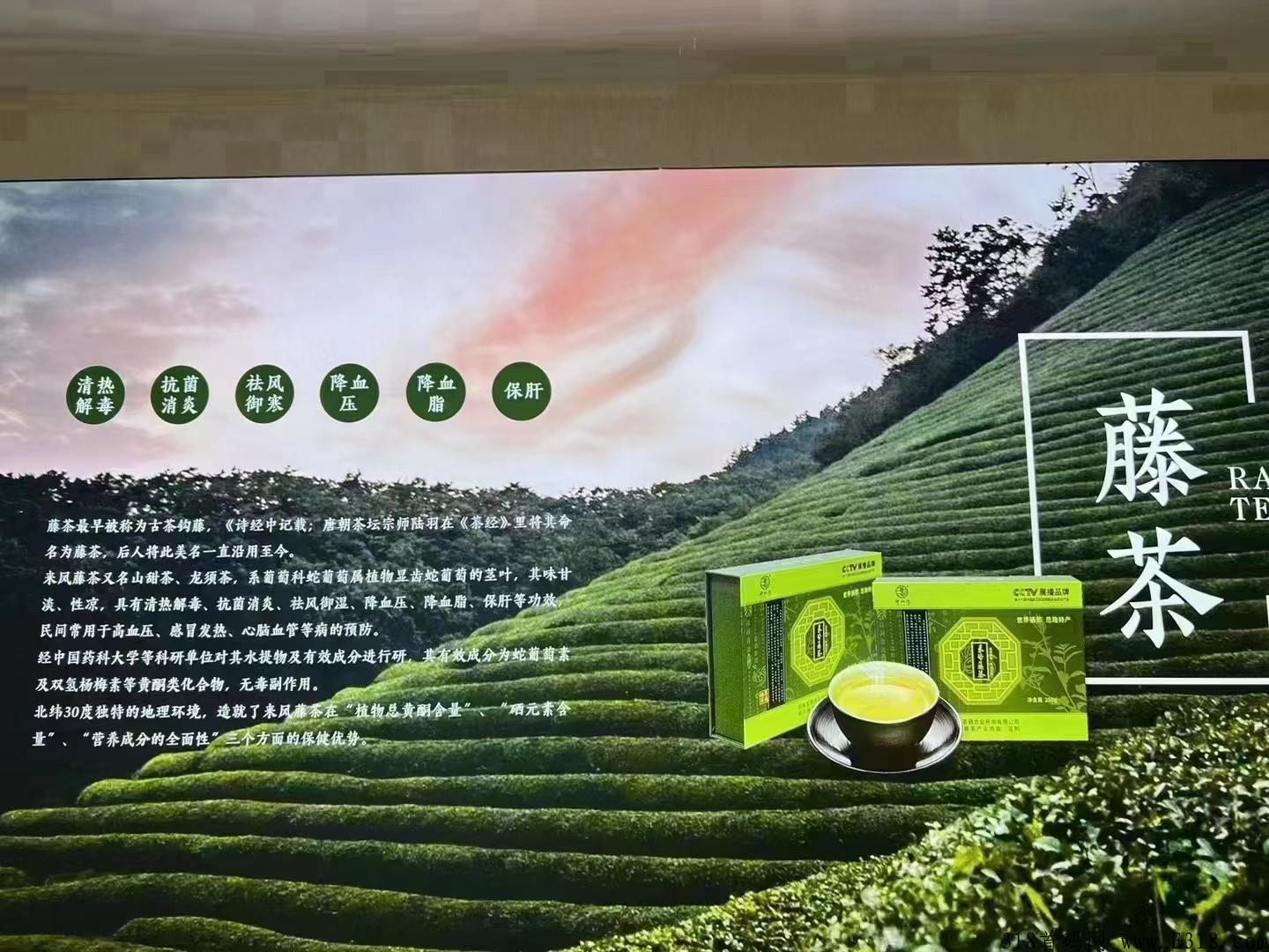 Free mall是抢拍界神盘火爆全网